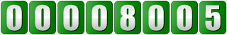 website hit counter